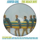 Beach Boys - Surfer Girl ( Picture Disc)